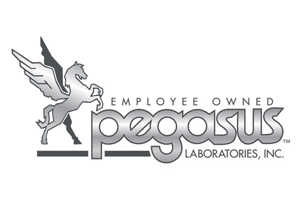 Executive Search Pegasus Labs Logo